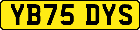 YB75DYS