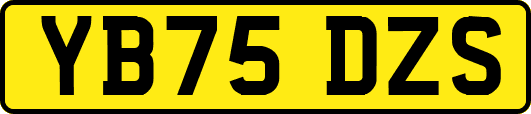 YB75DZS