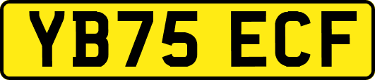 YB75ECF
