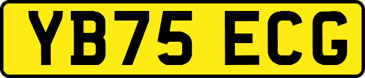 YB75ECG
