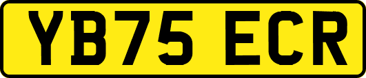 YB75ECR