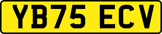 YB75ECV