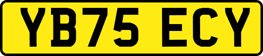 YB75ECY