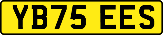 YB75EES