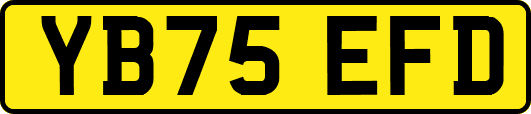 YB75EFD