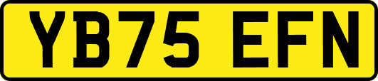 YB75EFN