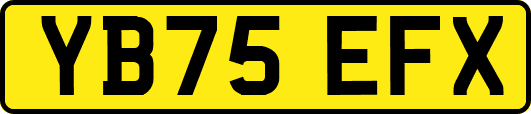 YB75EFX