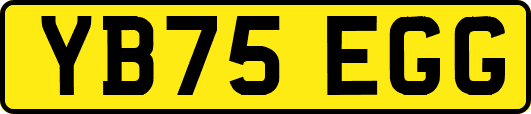 YB75EGG