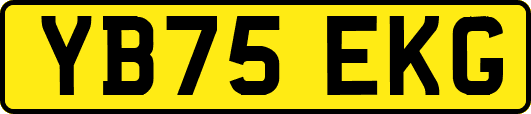 YB75EKG