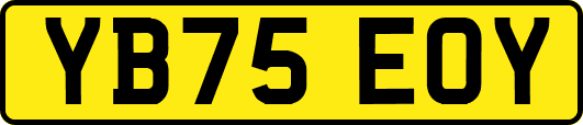 YB75EOY
