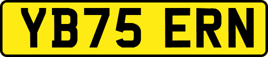 YB75ERN