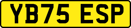 YB75ESP