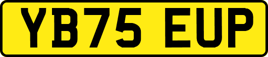 YB75EUP