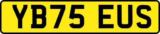 YB75EUS