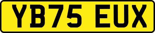 YB75EUX