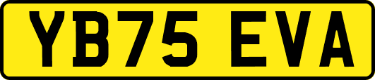 YB75EVA