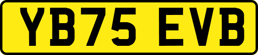 YB75EVB