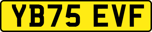 YB75EVF