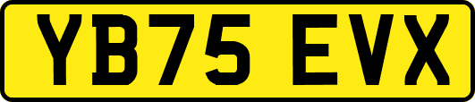 YB75EVX