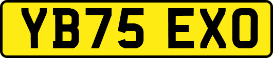 YB75EXO