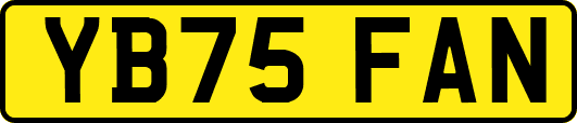 YB75FAN