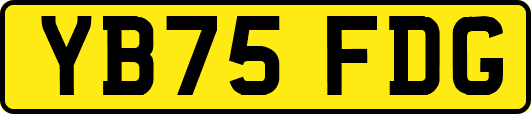 YB75FDG