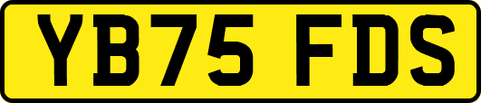 YB75FDS