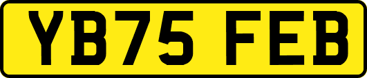 YB75FEB