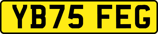 YB75FEG