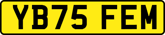YB75FEM
