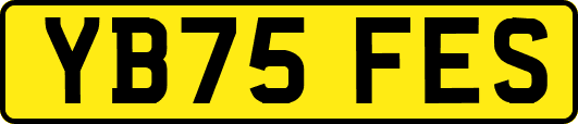 YB75FES