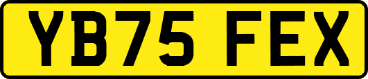 YB75FEX