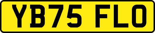 YB75FLO