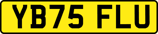 YB75FLU