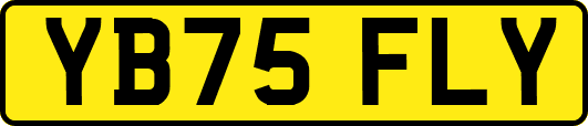 YB75FLY