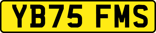 YB75FMS