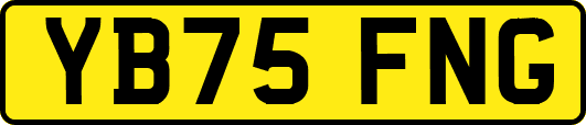 YB75FNG