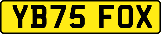 YB75FOX