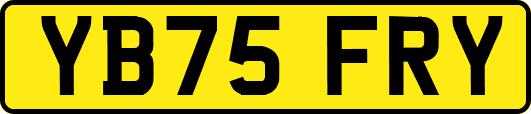 YB75FRY