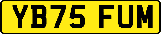 YB75FUM