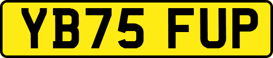 YB75FUP