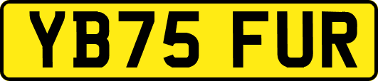 YB75FUR