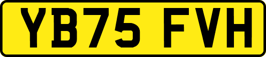 YB75FVH