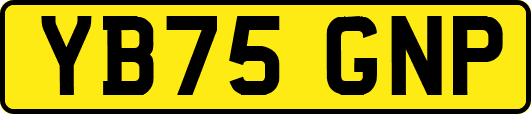 YB75GNP