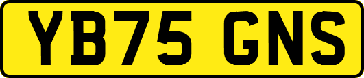 YB75GNS