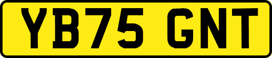 YB75GNT