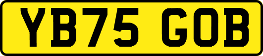 YB75GOB