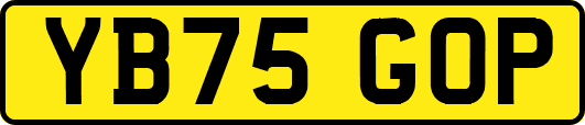 YB75GOP