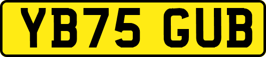 YB75GUB