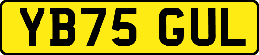 YB75GUL
